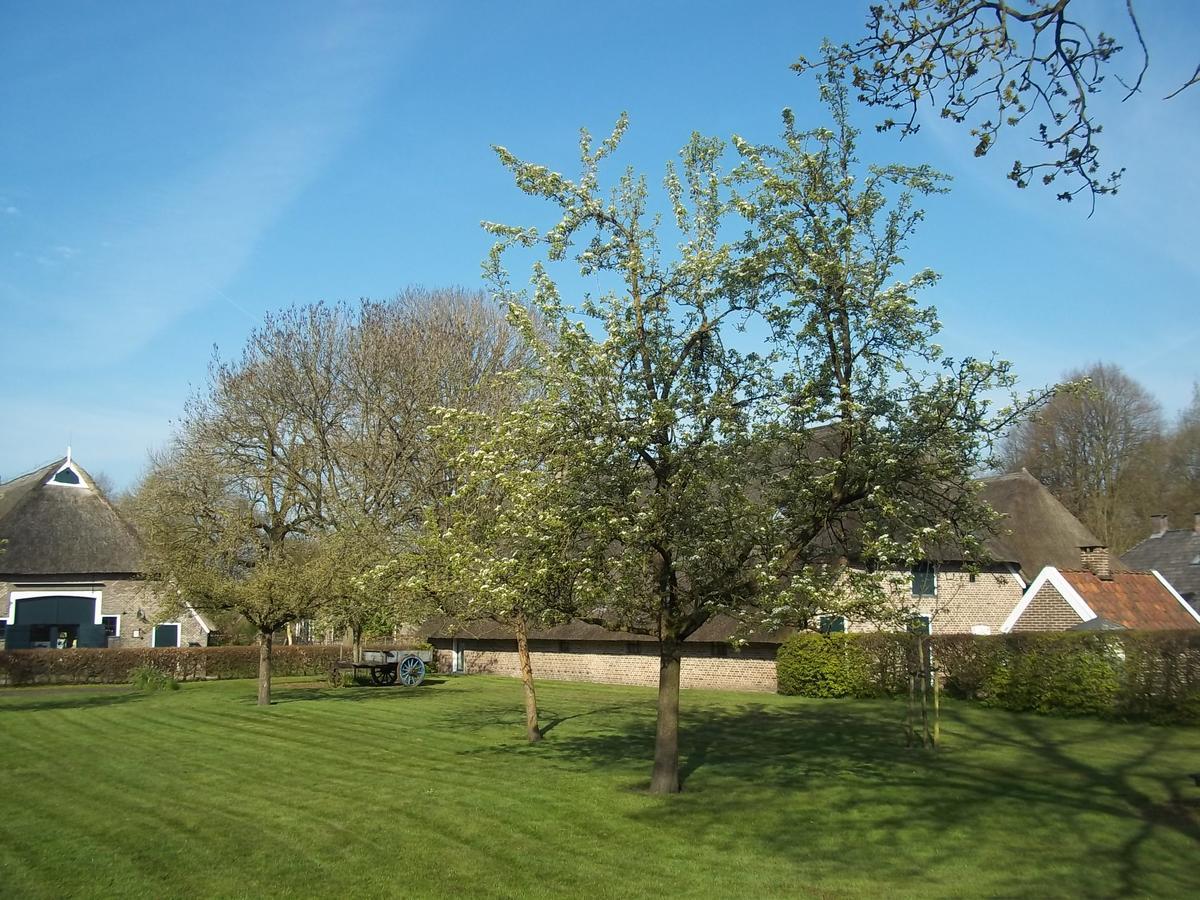 B&B Slaoperij Orvelte Exterior foto